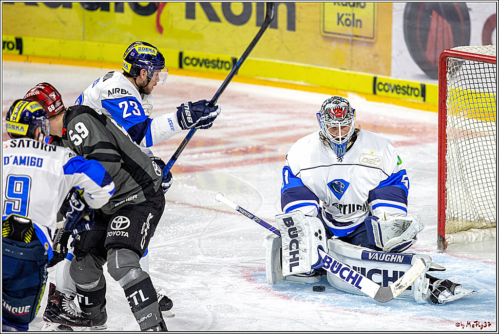 DEL; Koelner Haie - ERC Ingolstadt, 02.01.2019
